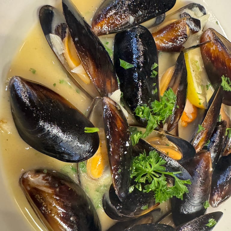 Delicious Mussels Await You